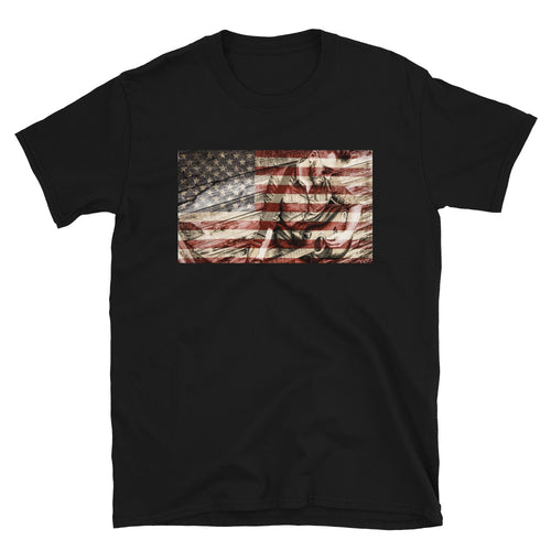 Rustic American Flag Guitar T-Shirt